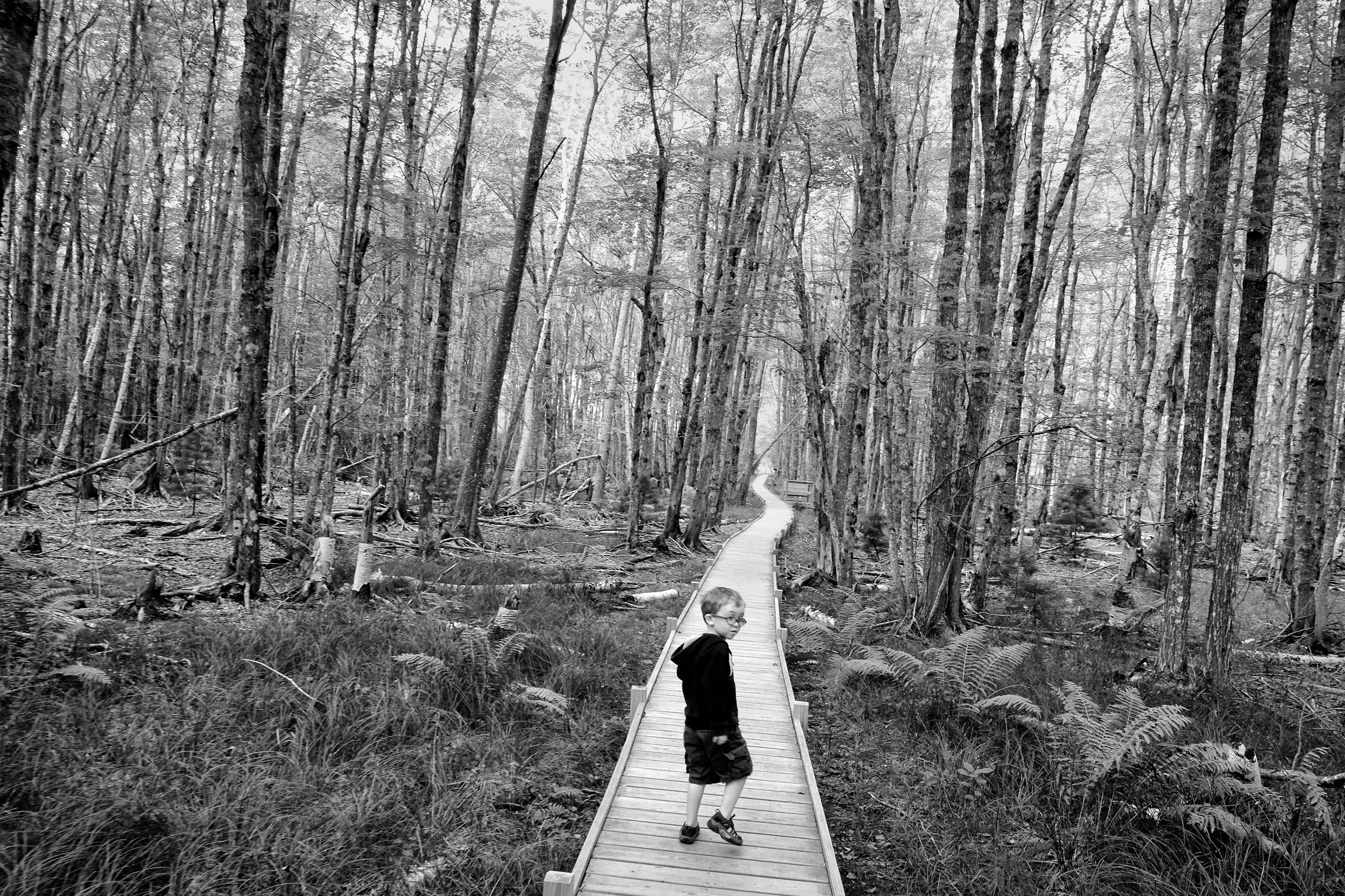 Keith Goldstein - Acadia NP.jpg