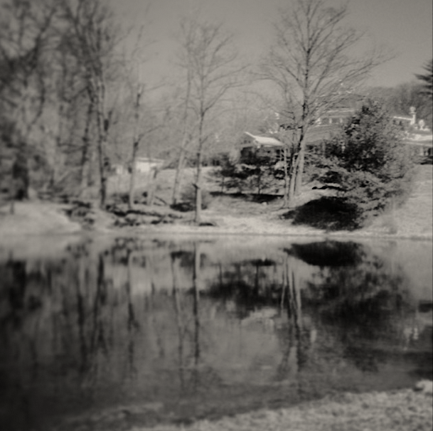 pilgrimage - bare ly