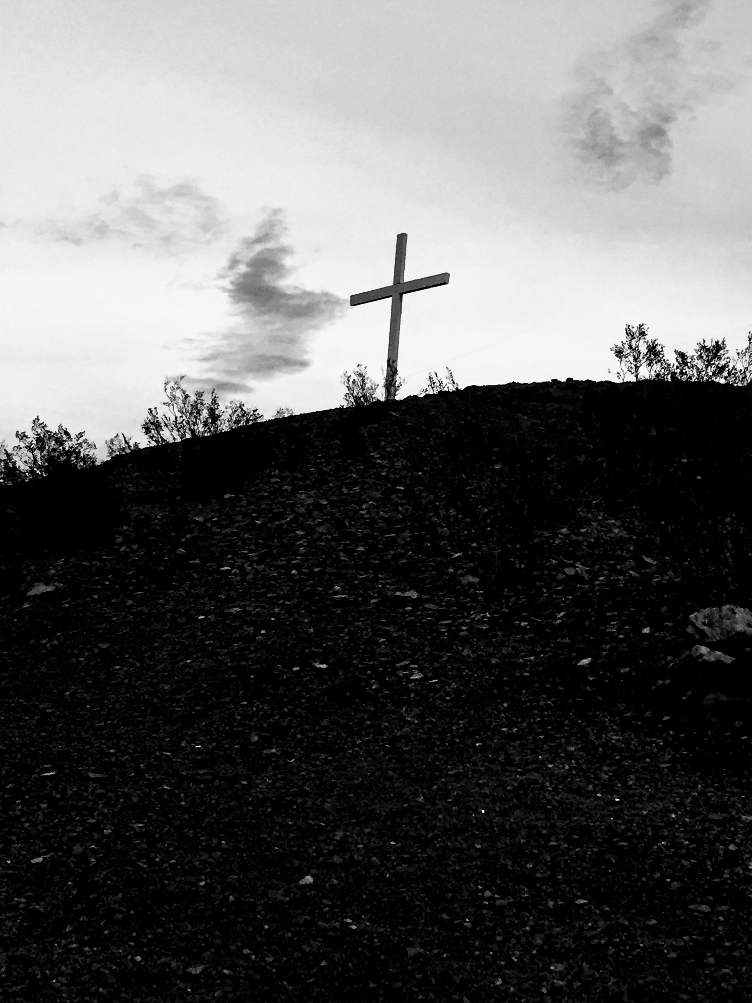 fullsizeoutput_1ff7 (1).jpeg