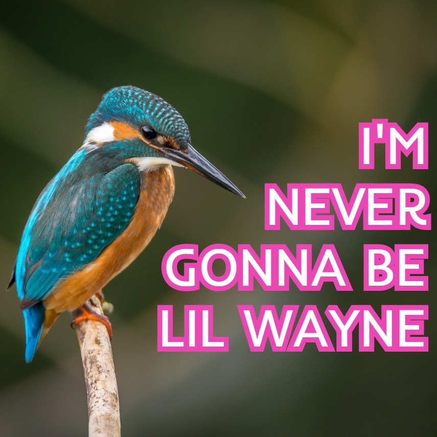 BIRD-LILWAYNE