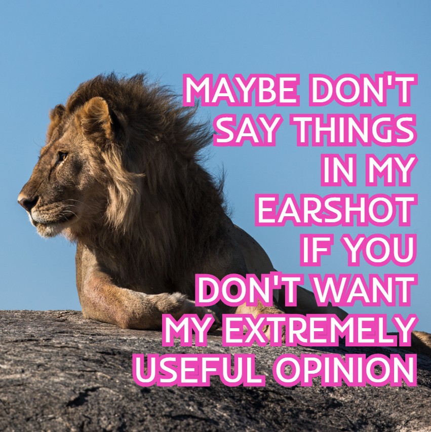LION-OPINION