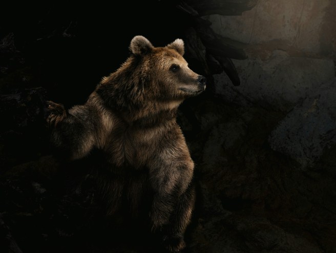 2026 Pushcart Prize&nbsp;Nominations